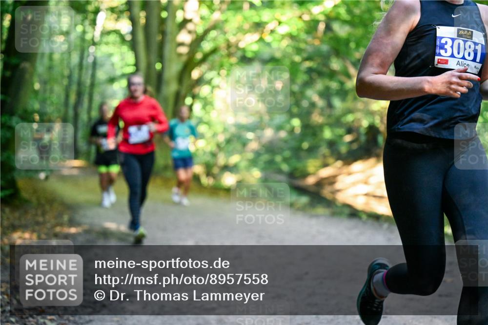 28.09.2025 - 33. Volkslauf durch das schöne Alstertal Dr. Thomas Lammeyer http://msf.ph/oto/8957558 28.09.2025 10:48:42 Laufen 3081 meine-sportfotos.de