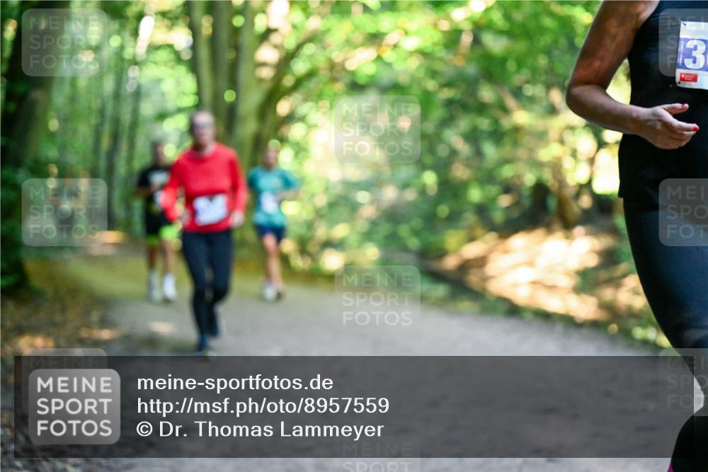 28.09.2025 - 33. Volkslauf durch das schöne Alstertal Dr. Thomas Lammeyer http://msf.ph/oto/8957559 28.09.2025 10:48:42 Laufen  meine-sportfotos.de