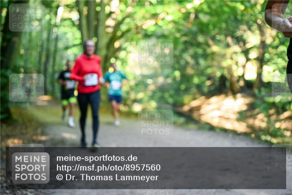 28.09.2025 - 33. Volkslauf durch das schöne Alstertal Dr. Thomas Lammeyer http://msf.ph/oto/8957560 28.09.2025 10:48:42 Laufen  meine-sportfotos.de