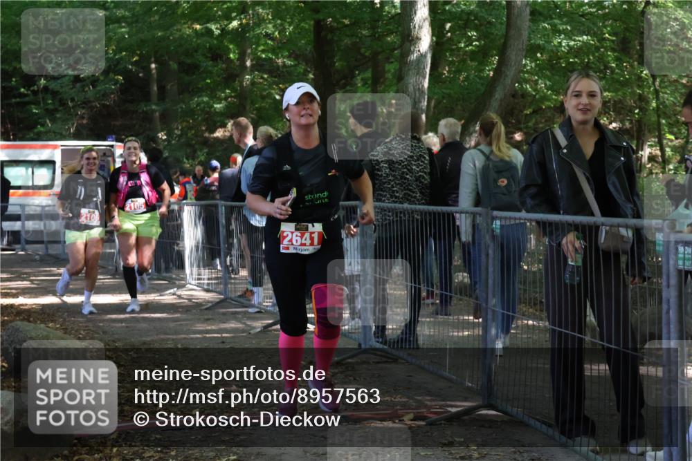 28.09.2025 - 33. Volkslauf durch das schöne Alstertal Strokosch-Dieckow http://msf.ph/oto/8957563 28.09.2025 13:03:33 Ziel 2105, 2641 meine-sportfotos.de