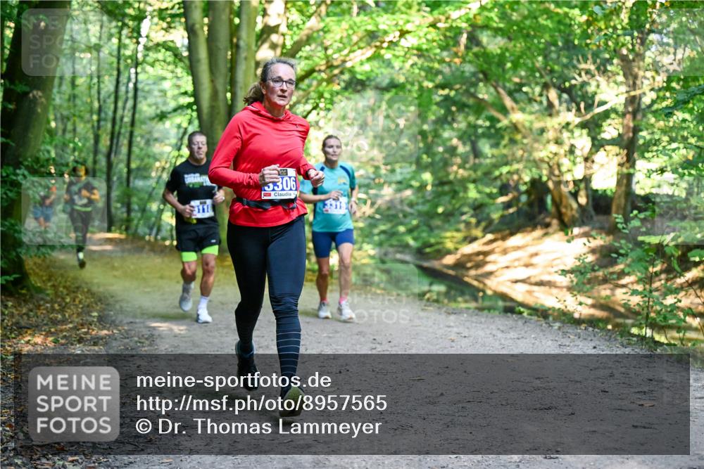 28.09.2025 - 33. Volkslauf durch das schöne Alstertal Dr. Thomas Lammeyer http://msf.ph/oto/8957565 28.09.2025 10:48:43 Laufen 3306 meine-sportfotos.de