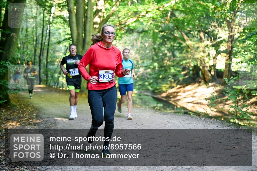28.09.2025 - 33. Volkslauf durch das schöne Alstertal Dr. Thomas Lammeyer http://msf.ph/oto/8957566 28.09.2025 10:48:43 Laufen 3306 meine-sportfotos.de
