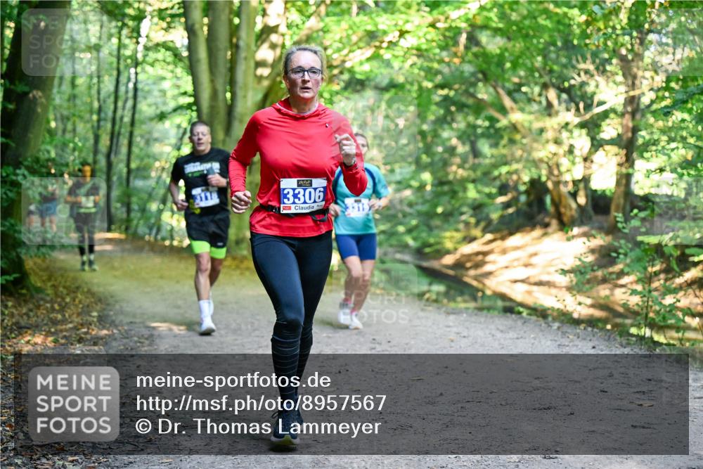 28.09.2025 - 33. Volkslauf durch das schöne Alstertal Dr. Thomas Lammeyer http://msf.ph/oto/8957567 28.09.2025 10:48:43 Laufen 3306 meine-sportfotos.de