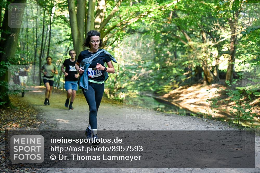 28.09.2025 - 33. Volkslauf durch das schöne Alstertal Dr. Thomas Lammeyer http://msf.ph/oto/8957593 28.09.2025 10:48:48 Laufen 3116 meine-sportfotos.de