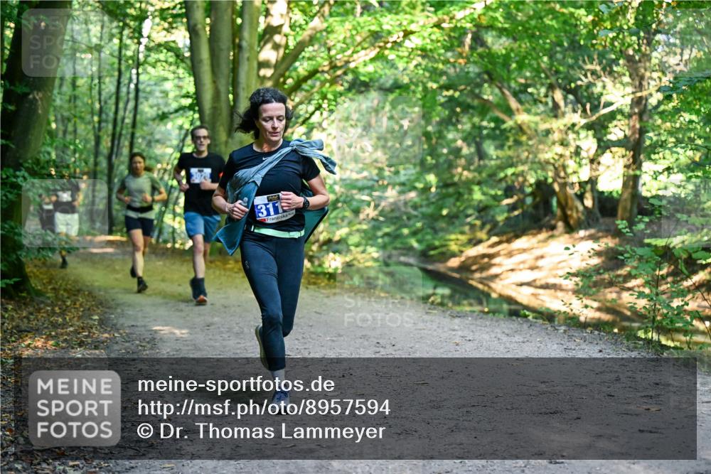 28.09.2025 - 33. Volkslauf durch das schöne Alstertal Dr. Thomas Lammeyer http://msf.ph/oto/8957594 28.09.2025 10:48:48 Laufen 311 meine-sportfotos.de