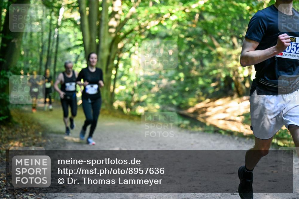 28.09.2025 - 33. Volkslauf durch das schöne Alstertal Dr. Thomas Lammeyer http://msf.ph/oto/8957636 28.09.2025 10:48:54 Laufen 352 meine-sportfotos.de