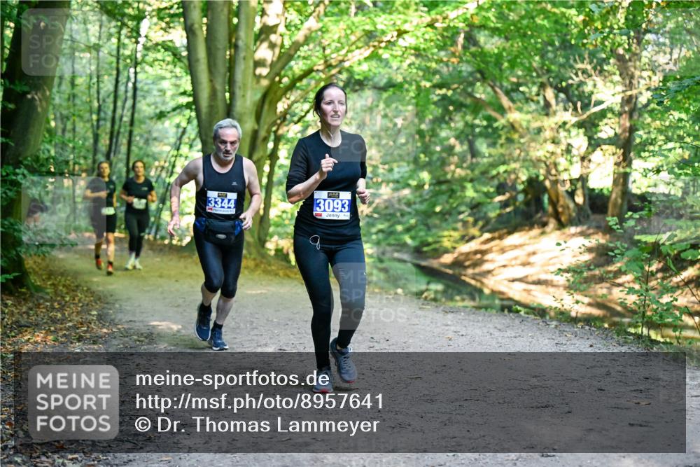 28.09.2025 - 33. Volkslauf durch das schöne Alstertal Dr. Thomas Lammeyer http://msf.ph/oto/8957641 28.09.2025 10:48:55 Laufen 3344, 3093 meine-sportfotos.de