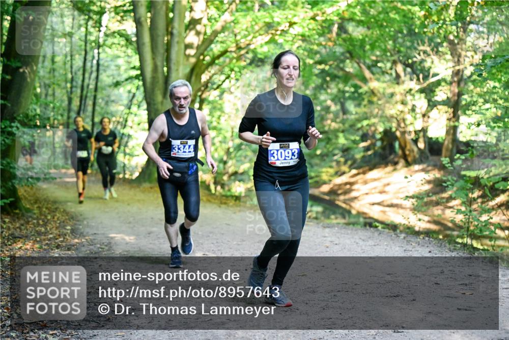 28.09.2025 - 33. Volkslauf durch das schöne Alstertal Dr. Thomas Lammeyer http://msf.ph/oto/8957643 28.09.2025 10:48:55 Laufen 3344, 3093 meine-sportfotos.de