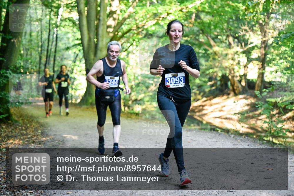 28.09.2025 - 33. Volkslauf durch das schöne Alstertal Dr. Thomas Lammeyer http://msf.ph/oto/8957644 28.09.2025 10:48:55 Laufen 3344, 3093 meine-sportfotos.de