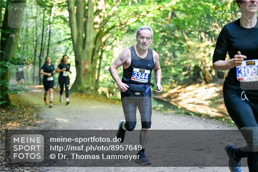 28.09.2025 - 33. Volkslauf durch das schöne Alstertal Dr. Thomas Lammeyer http://msf.ph/oto/8957649 28.09.2025 10:48:56 Laufen 3344, 444, 1309 meine-sportfotos.de