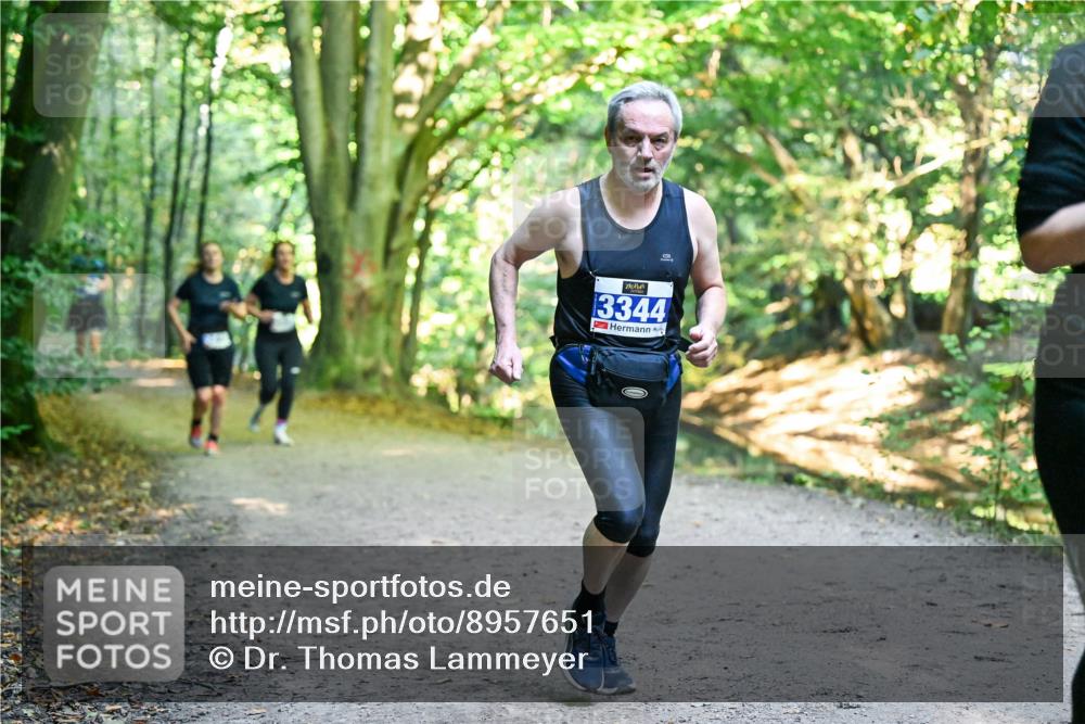 28.09.2025 - 33. Volkslauf durch das schöne Alstertal Dr. Thomas Lammeyer http://msf.ph/oto/8957651 28.09.2025 10:48:56 Laufen 3344 meine-sportfotos.de