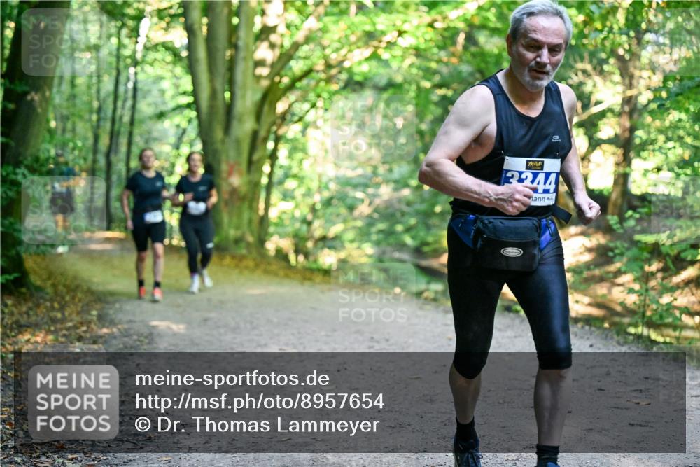 28.09.2025 - 33. Volkslauf durch das schöne Alstertal Dr. Thomas Lammeyer http://msf.ph/oto/8957654 28.09.2025 10:48:57 Laufen 3344 meine-sportfotos.de