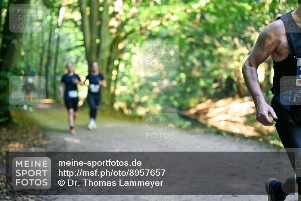 28.09.2025 - 33. Volkslauf durch das schöne Alstertal Dr. Thomas Lammeyer http://msf.ph/oto/8957657 28.09.2025 10:48:57 Laufen  meine-sportfotos.de