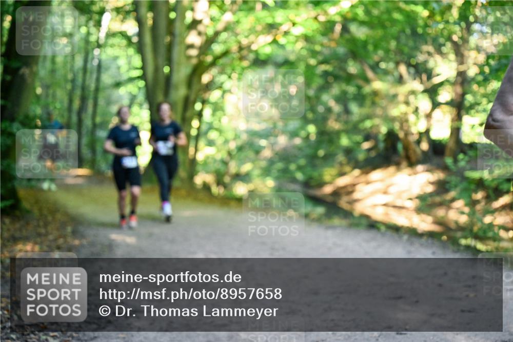 28.09.2025 - 33. Volkslauf durch das schöne Alstertal Dr. Thomas Lammeyer http://msf.ph/oto/8957658 28.09.2025 10:48:57 Laufen  meine-sportfotos.de