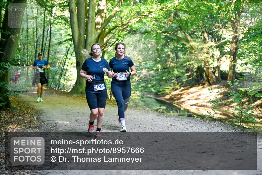 28.09.2025 - 33. Volkslauf durch das schöne Alstertal Dr. Thomas Lammeyer http://msf.ph/oto/8957666 28.09.2025 10:48:59 Laufen 3210, 3936 meine-sportfotos.de