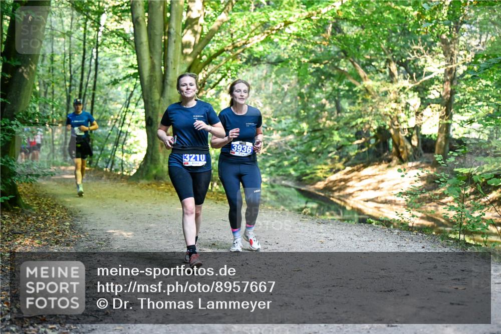 28.09.2025 - 33. Volkslauf durch das schöne Alstertal Dr. Thomas Lammeyer http://msf.ph/oto/8957667 28.09.2025 10:48:59 Laufen 3210, 3936 meine-sportfotos.de