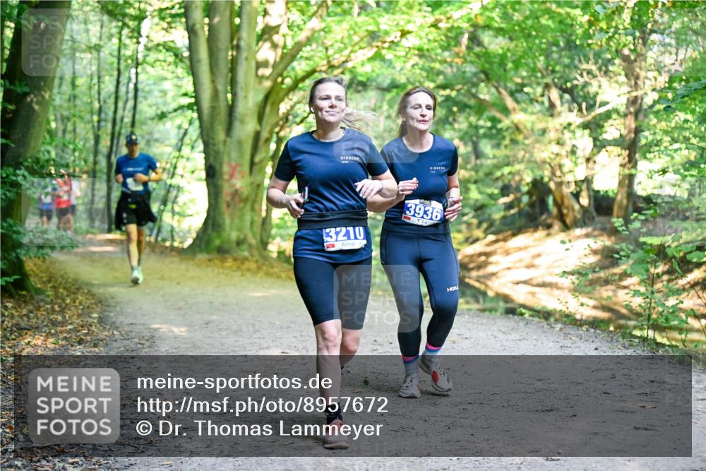 28.09.2025 - 33. Volkslauf durch das schöne Alstertal Dr. Thomas Lammeyer http://msf.ph/oto/8957672 28.09.2025 10:49:00 Laufen 3210, 3936 meine-sportfotos.de