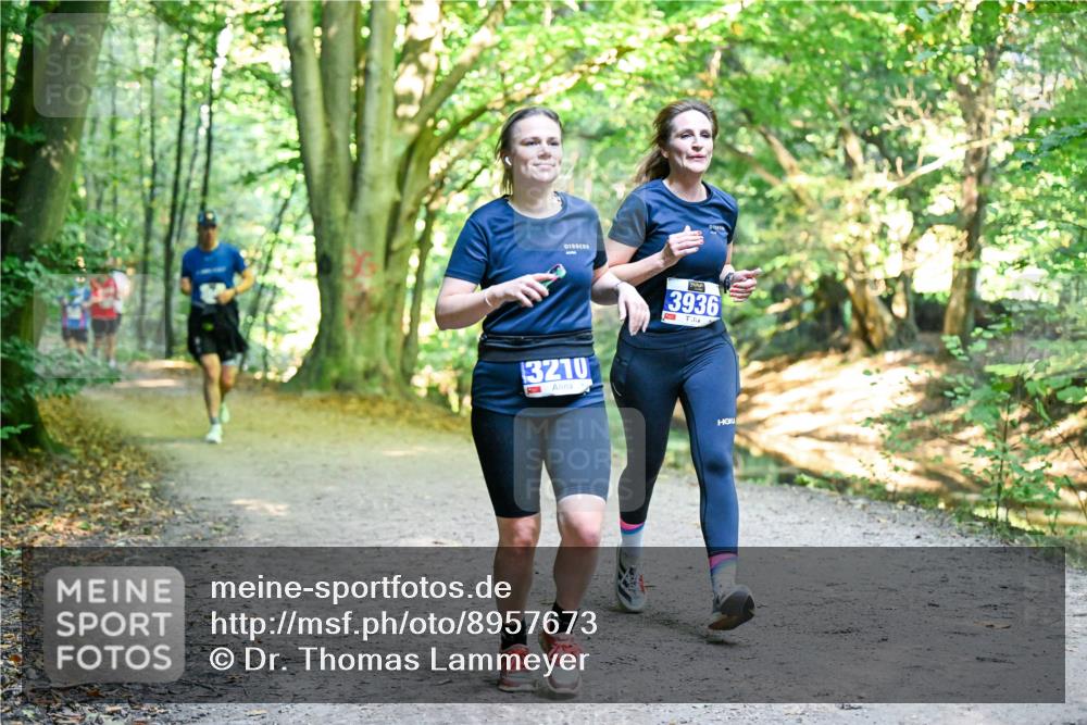 28.09.2025 - 33. Volkslauf durch das schöne Alstertal Dr. Thomas Lammeyer http://msf.ph/oto/8957673 28.09.2025 10:49:00 Laufen 3210, 3936 meine-sportfotos.de