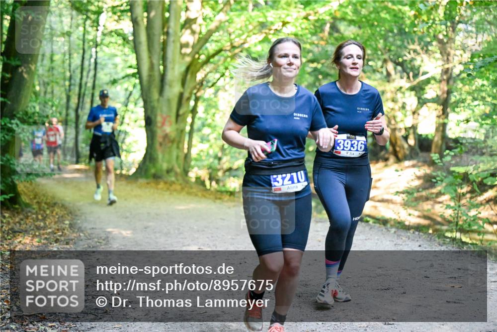 28.09.2025 - 33. Volkslauf durch das schöne Alstertal Dr. Thomas Lammeyer http://msf.ph/oto/8957675 28.09.2025 10:49:00 Laufen 3210, 3936 meine-sportfotos.de