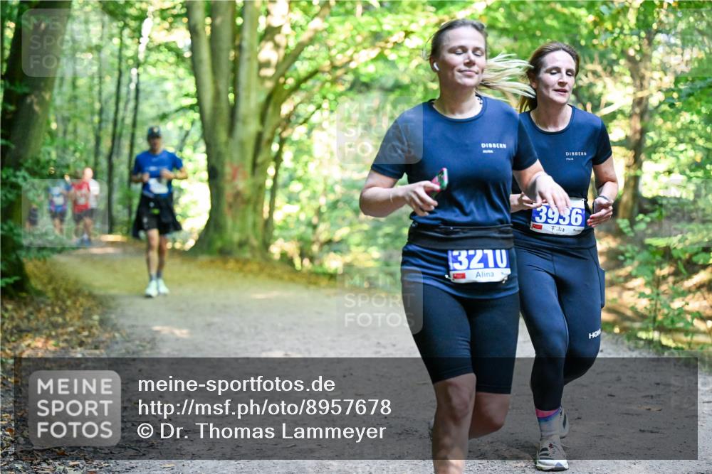 28.09.2025 - 33. Volkslauf durch das schöne Alstertal Dr. Thomas Lammeyer http://msf.ph/oto/8957678 28.09.2025 10:49:00 Laufen 3210, 3936 meine-sportfotos.de