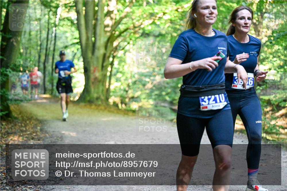 28.09.2025 - 33. Volkslauf durch das schöne Alstertal Dr. Thomas Lammeyer http://msf.ph/oto/8957679 28.09.2025 10:49:00 Laufen 3210, 336 meine-sportfotos.de