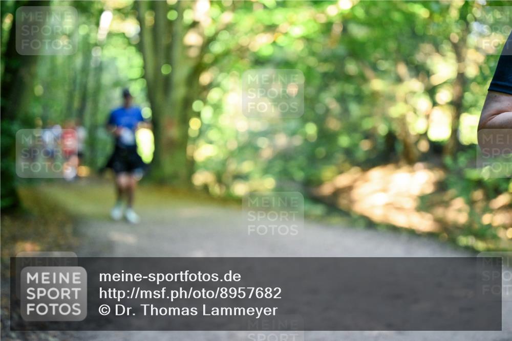 28.09.2025 - 33. Volkslauf durch das schöne Alstertal Dr. Thomas Lammeyer http://msf.ph/oto/8957682 28.09.2025 10:49:01 Laufen  meine-sportfotos.de
