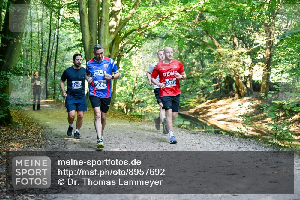 28.09.2025 - 33. Volkslauf durch das schöne Alstertal Dr. Thomas Lammeyer http://msf.ph/oto/8957692 28.09.2025 10:49:07 Laufen 3212, 3066, 3929 meine-sportfotos.de
