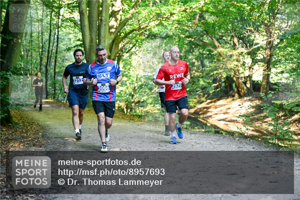 28.09.2025 - 33. Volkslauf durch das schöne Alstertal Dr. Thomas Lammeyer http://msf.ph/oto/8957693 28.09.2025 10:49:07 Laufen 3212, 3066, 3929 meine-sportfotos.de