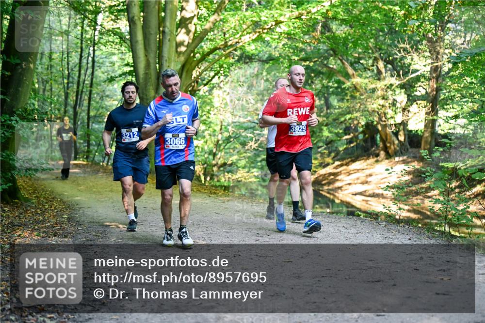 28.09.2025 - 33. Volkslauf durch das schöne Alstertal Dr. Thomas Lammeyer http://msf.ph/oto/8957695 28.09.2025 10:49:07 Laufen 3212, 3066, 3929 meine-sportfotos.de