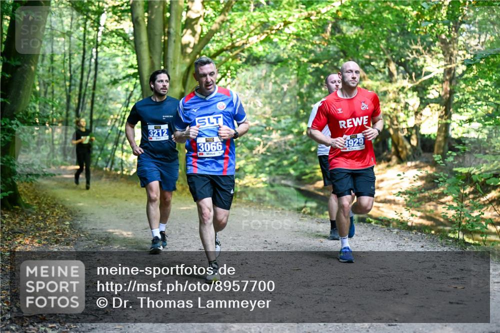 28.09.2025 - 33. Volkslauf durch das schöne Alstertal Dr. Thomas Lammeyer http://msf.ph/oto/8957700 28.09.2025 10:49:08 Laufen 3212, 3066, 3929 meine-sportfotos.de