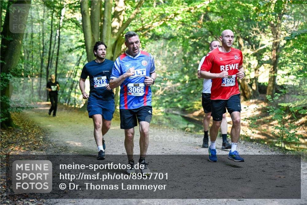 28.09.2025 - 33. Volkslauf durch das schöne Alstertal Dr. Thomas Lammeyer http://msf.ph/oto/8957701 28.09.2025 10:49:08 Laufen 3212, 3066, 3929 meine-sportfotos.de