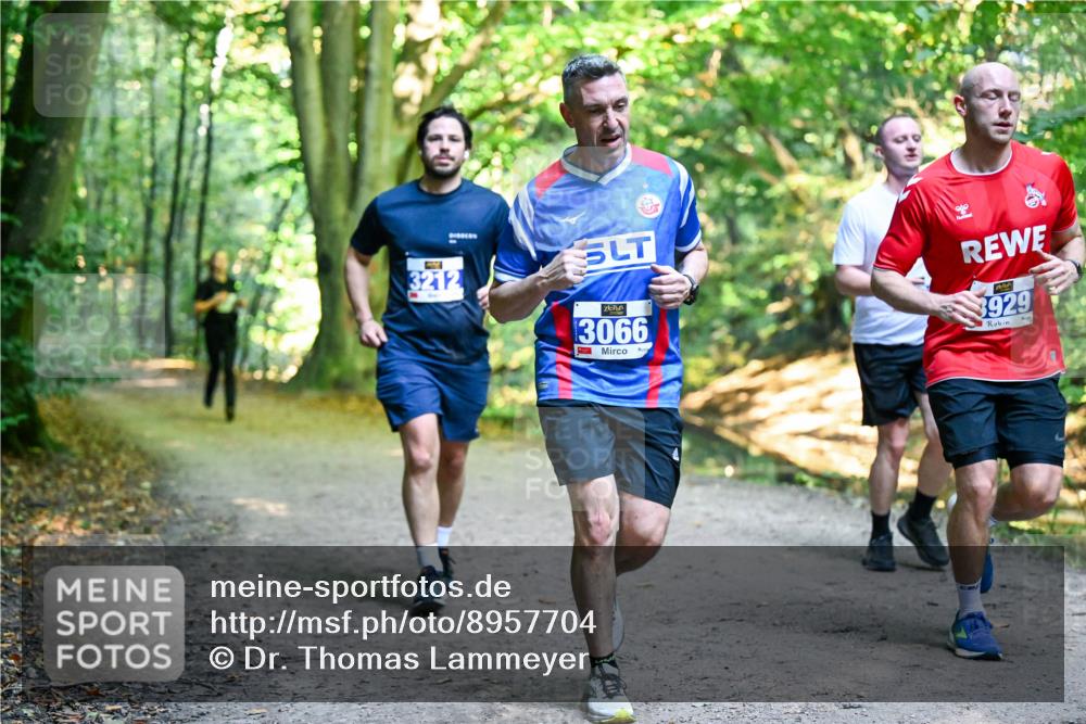 28.09.2025 - 33. Volkslauf durch das schöne Alstertal Dr. Thomas Lammeyer http://msf.ph/oto/8957704 28.09.2025 10:49:09 Laufen 3212, 3066, 3929 meine-sportfotos.de