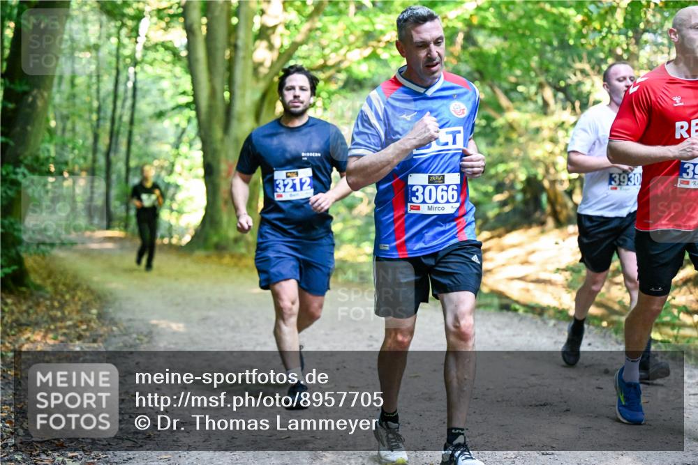 28.09.2025 - 33. Volkslauf durch das schöne Alstertal Dr. Thomas Lammeyer http://msf.ph/oto/8957705 28.09.2025 10:49:09 Laufen 3212, 3066, 3930, 39 meine-sportfotos.de