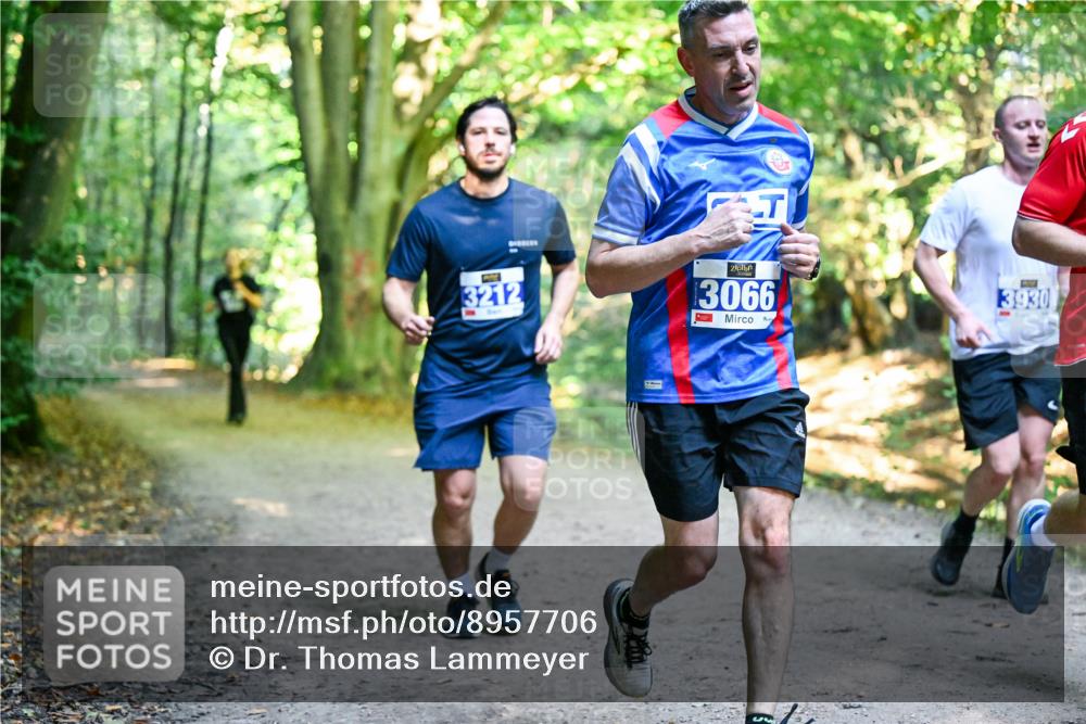 28.09.2025 - 33. Volkslauf durch das schöne Alstertal Dr. Thomas Lammeyer http://msf.ph/oto/8957706 28.09.2025 10:49:09 Laufen 3212, 3066, 3930 meine-sportfotos.de