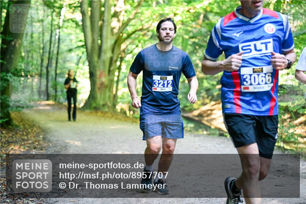 28.09.2025 - 33. Volkslauf durch das schöne Alstertal Dr. Thomas Lammeyer http://msf.ph/oto/8957707 28.09.2025 10:49:09 Laufen 3066, 3212 meine-sportfotos.de