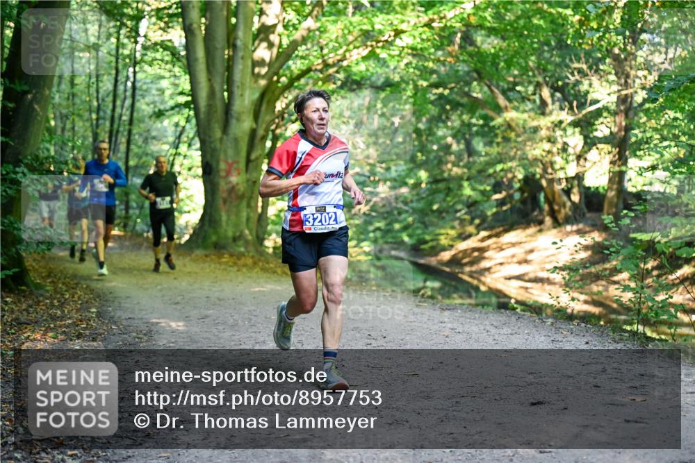 28.09.2025 - 33. Volkslauf durch das schöne Alstertal Dr. Thomas Lammeyer http://msf.ph/oto/8957753 28.09.2025 10:49:20 Laufen 13202 meine-sportfotos.de