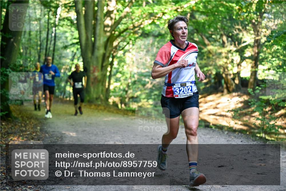 28.09.2025 - 33. Volkslauf durch das schöne Alstertal Dr. Thomas Lammeyer http://msf.ph/oto/8957759 28.09.2025 10:49:21 Laufen 3202 meine-sportfotos.de