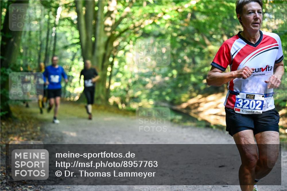 28.09.2025 - 33. Volkslauf durch das schöne Alstertal Dr. Thomas Lammeyer http://msf.ph/oto/8957763 28.09.2025 10:49:21 Laufen 3202 meine-sportfotos.de
