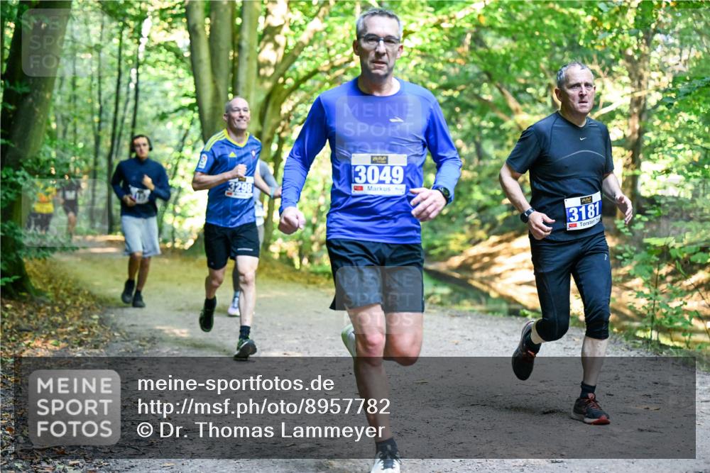 28.09.2025 - 33. Volkslauf durch das schöne Alstertal Dr. Thomas Lammeyer http://msf.ph/oto/8957782 28.09.2025 10:49:25 Laufen 3298, 3049, 3181 meine-sportfotos.de