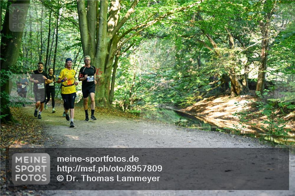 28.09.2025 - 33. Volkslauf durch das schöne Alstertal Dr. Thomas Lammeyer http://msf.ph/oto/8957809 28.09.2025 10:49:30 Laufen 3313, 942, 3391 meine-sportfotos.de