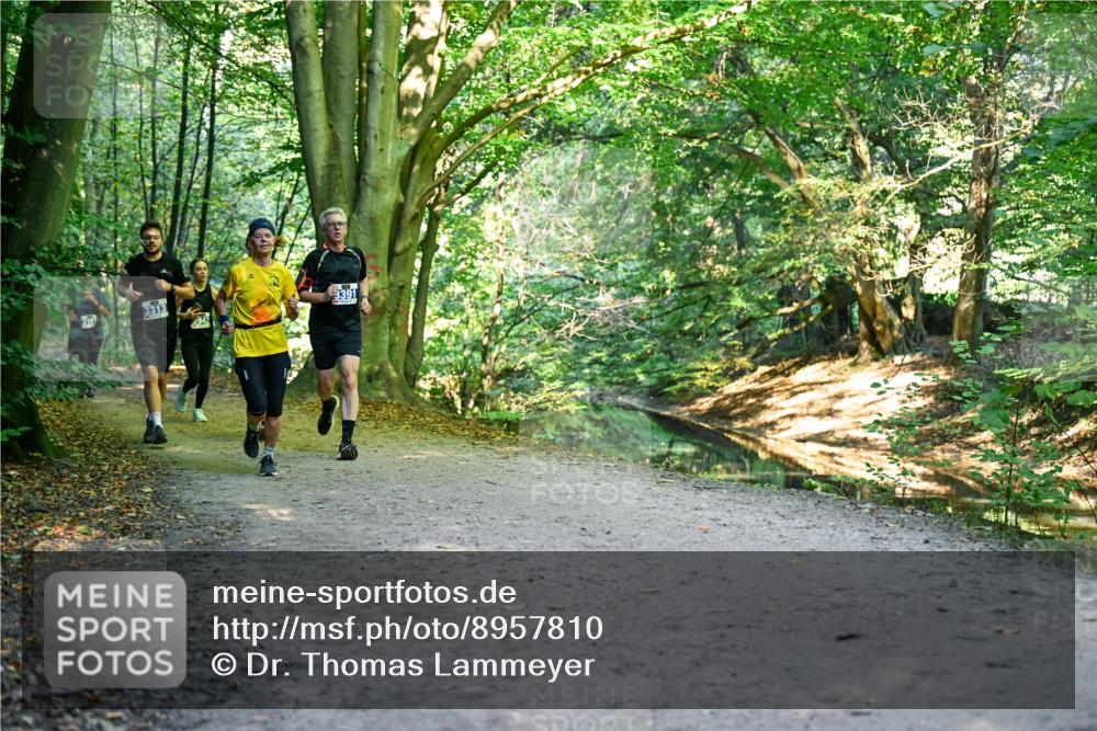 28.09.2025 - 33. Volkslauf durch das schöne Alstertal Dr. Thomas Lammeyer http://msf.ph/oto/8957810 28.09.2025 10:49:30 Laufen 3313, 3391, 3942 meine-sportfotos.de