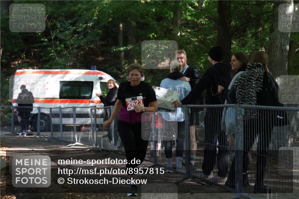 28.09.2025 - 33. Volkslauf durch das schöne Alstertal Strokosch-Dieckow http://msf.ph/oto/8957815 28.09.2025 13:05:42 Ziel 2623 meine-sportfotos.de