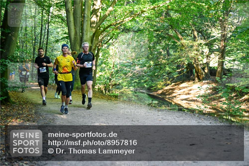 28.09.2025 - 33. Volkslauf durch das schöne Alstertal Dr. Thomas Lammeyer http://msf.ph/oto/8957816 28.09.2025 10:49:31 Laufen 3313, 391 meine-sportfotos.de