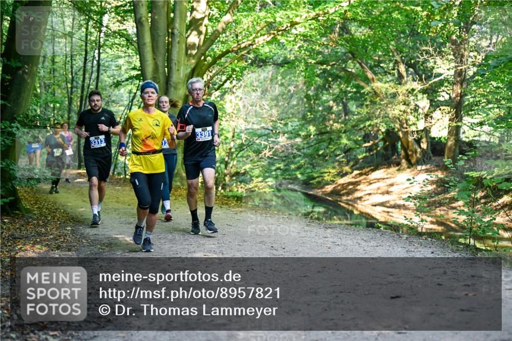 28.09.2025 - 33. Volkslauf durch das schöne Alstertal Dr. Thomas Lammeyer http://msf.ph/oto/8957821 28.09.2025 10:49:31 Laufen 3313, 3391 meine-sportfotos.de