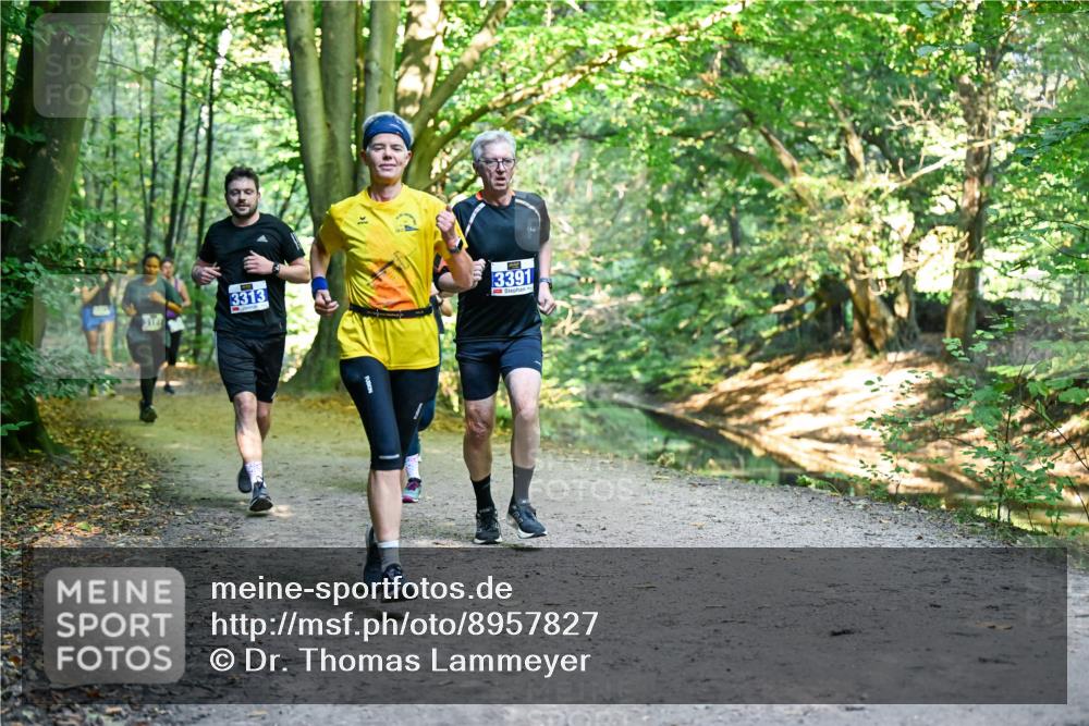 28.09.2025 - 33. Volkslauf durch das schöne Alstertal Dr. Thomas Lammeyer http://msf.ph/oto/8957827 28.09.2025 10:49:32 Laufen 3313, 3391 meine-sportfotos.de