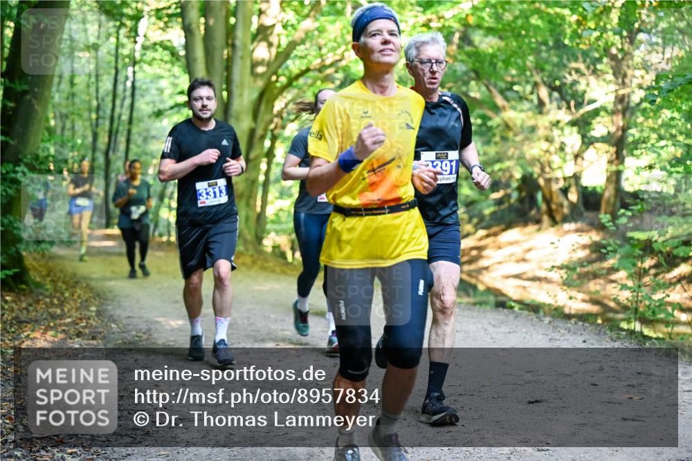 28.09.2025 - 33. Volkslauf durch das schöne Alstertal Dr. Thomas Lammeyer http://msf.ph/oto/8957834 28.09.2025 10:49:33 Laufen 3313, 2391 meine-sportfotos.de