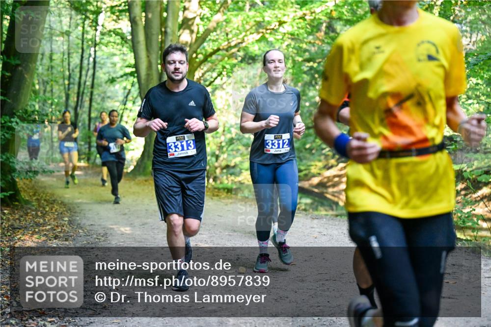 28.09.2025 - 33. Volkslauf durch das schöne Alstertal Dr. Thomas Lammeyer http://msf.ph/oto/8957839 28.09.2025 10:49:34 Laufen 3313, 3312 meine-sportfotos.de
