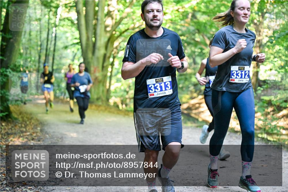 28.09.2025 - 33. Volkslauf durch das schöne Alstertal Dr. Thomas Lammeyer http://msf.ph/oto/8957844 28.09.2025 10:49:34 Laufen 3313, 3312, 1 meine-sportfotos.de