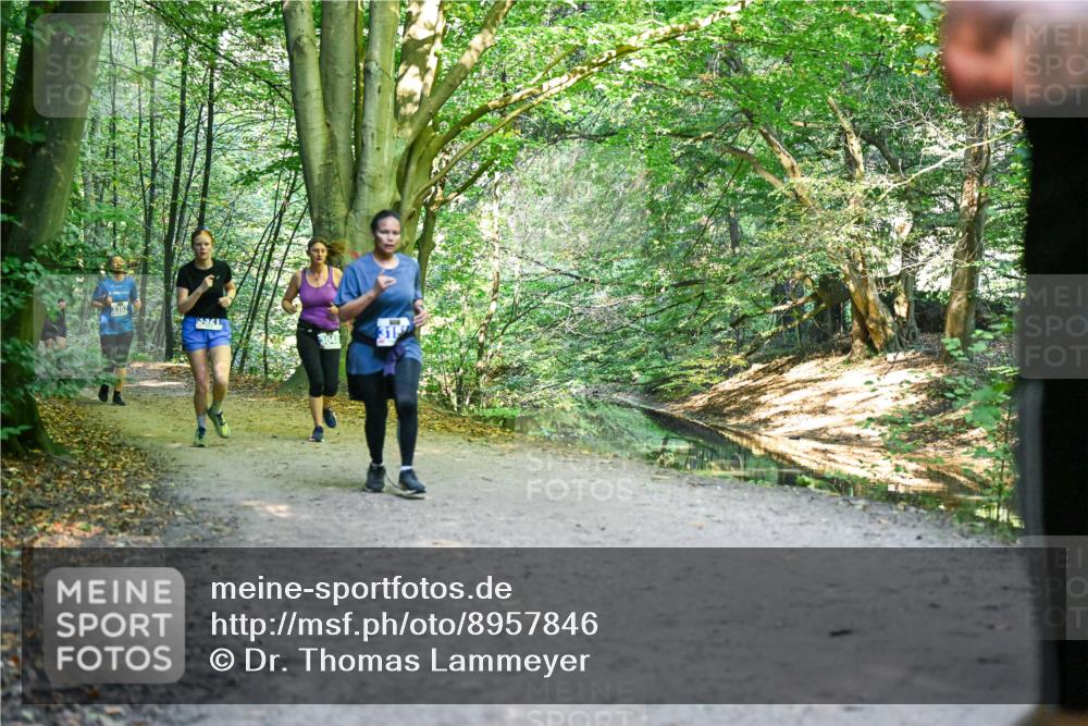 28.09.2025 - 33. Volkslauf durch das schöne Alstertal Dr. Thomas Lammeyer http://msf.ph/oto/8957846 28.09.2025 10:49:35 Laufen 3048 meine-sportfotos.de
