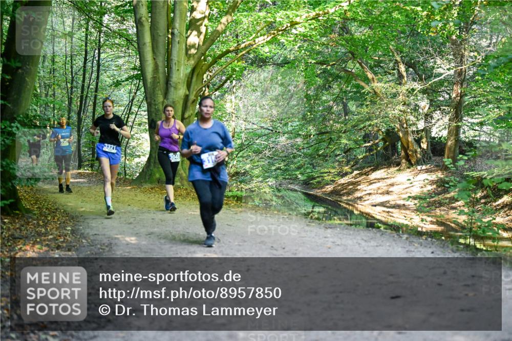 28.09.2025 - 33. Volkslauf durch das schöne Alstertal Dr. Thomas Lammeyer http://msf.ph/oto/8957850 28.09.2025 10:49:36 Laufen 3352, 3321, 3048 meine-sportfotos.de